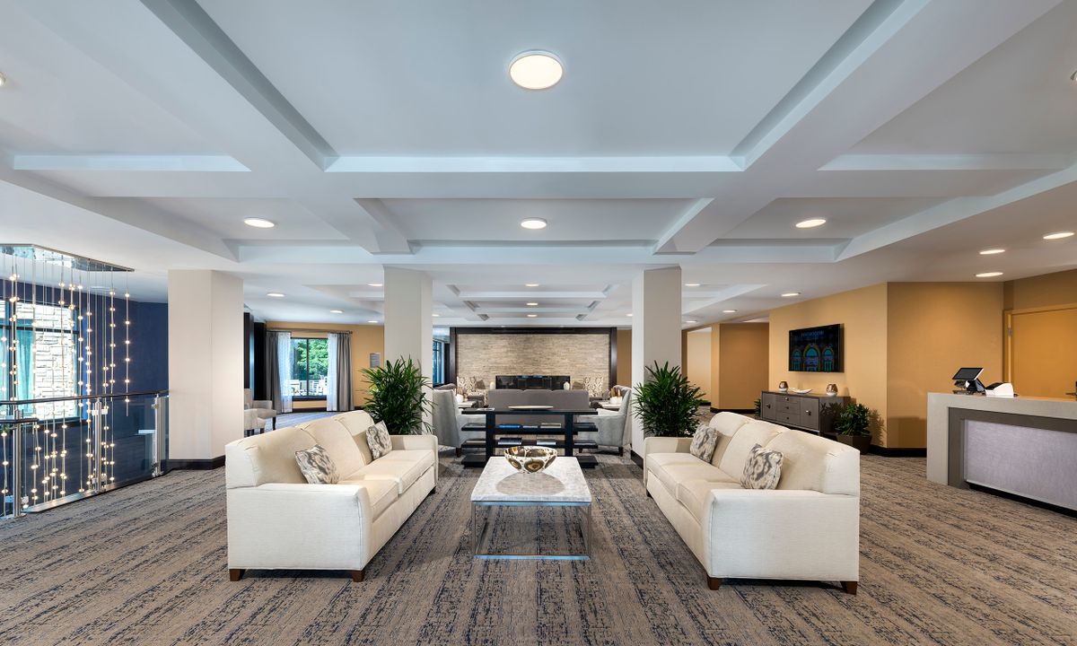 A modern living room with comfortable couches and elegant decor.