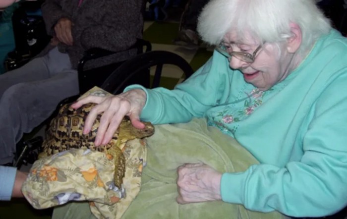 Colonial Park Rehabilitation And Nursing Center