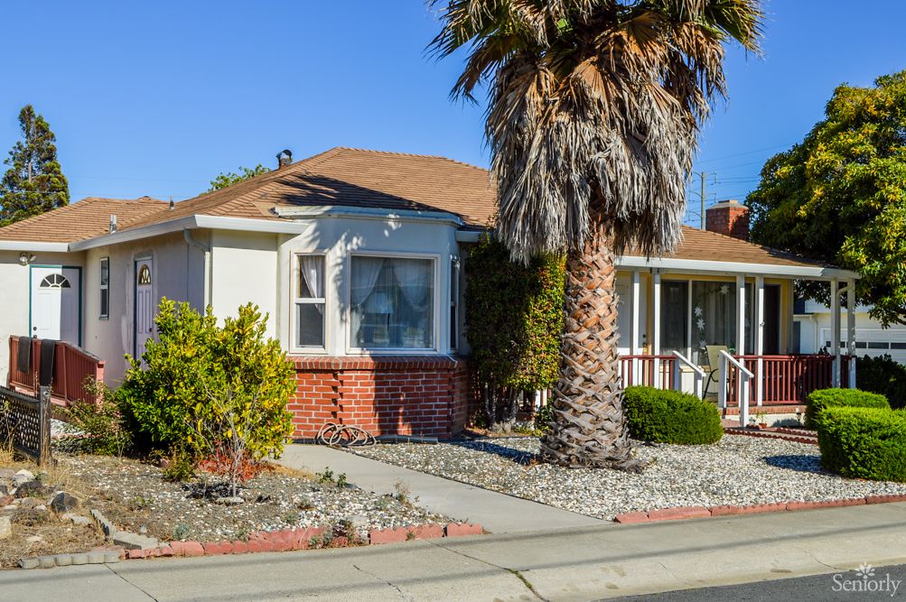 A suburban house with a palm tree in the front yard on a sunny day.