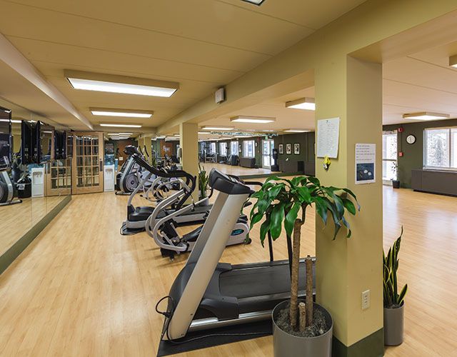 A modern gym with treadmills and exercise equipment in a spacious workout area.