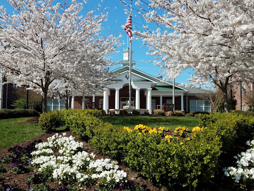 A beautiful spring day showcasing a charming building surrounded by blooming cherry trees and vibrant flowers.