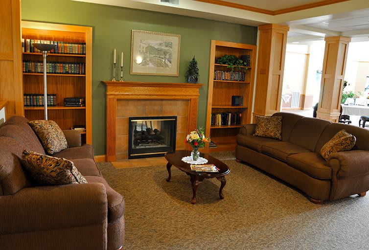 A cozy living room featuring a fireplace, sofas, and bookshelves.