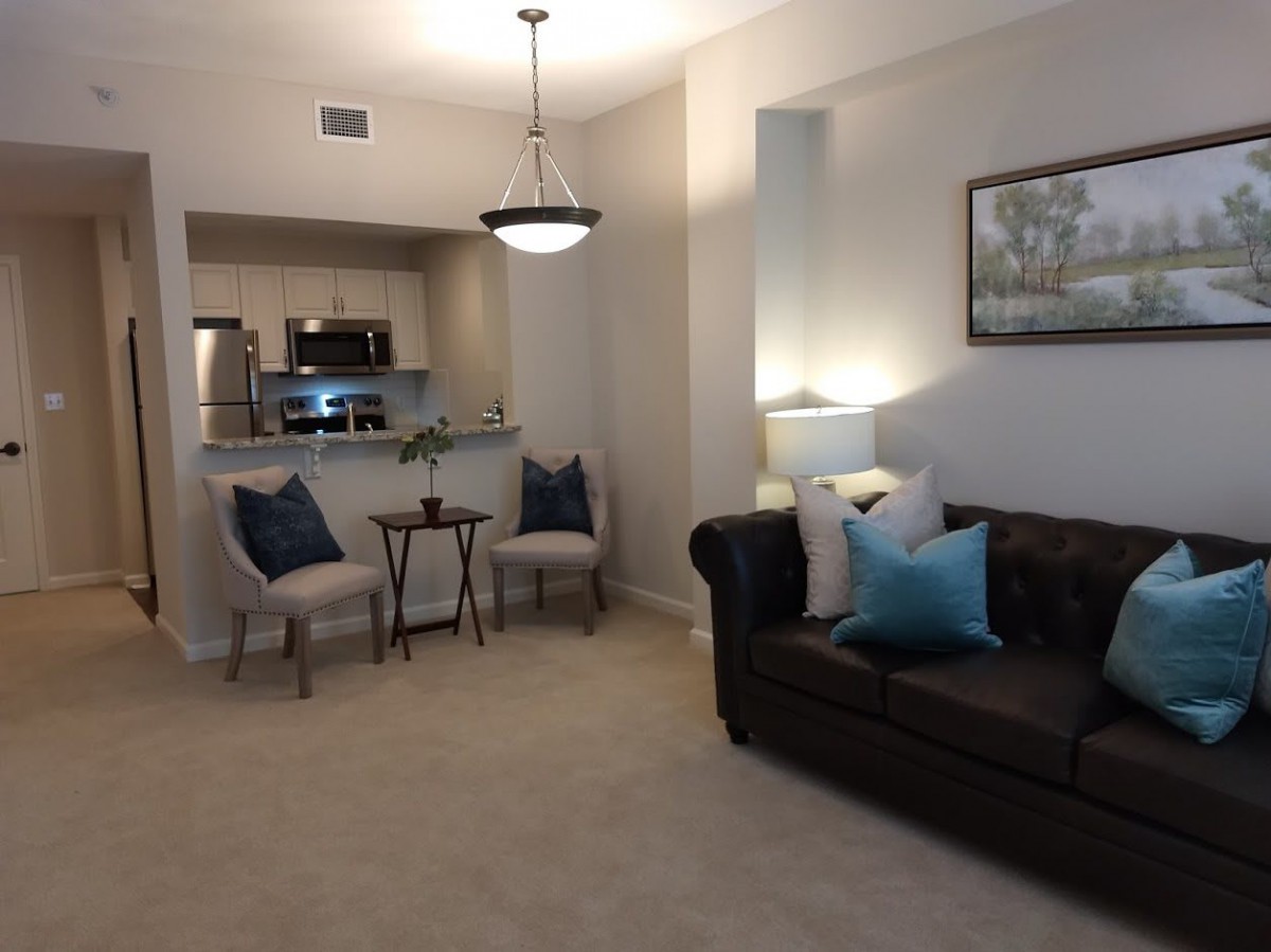 A cozy, modern living room with an open kitchen layout featuring a dark leather couch and elegant chairs.