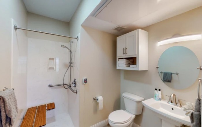 A modern bathroom featuring a shower with accessibility features, a toilet, a sink, and a storage cabinet.