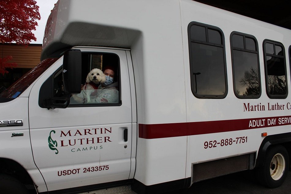 A person driving a bus with a dog sitting beside them.