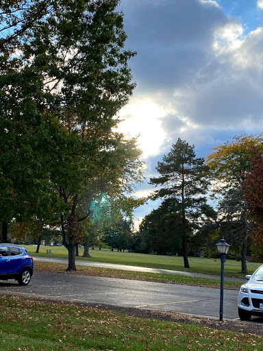 A serene view of a park on a cloudy autumn day, with trees and cars visible.