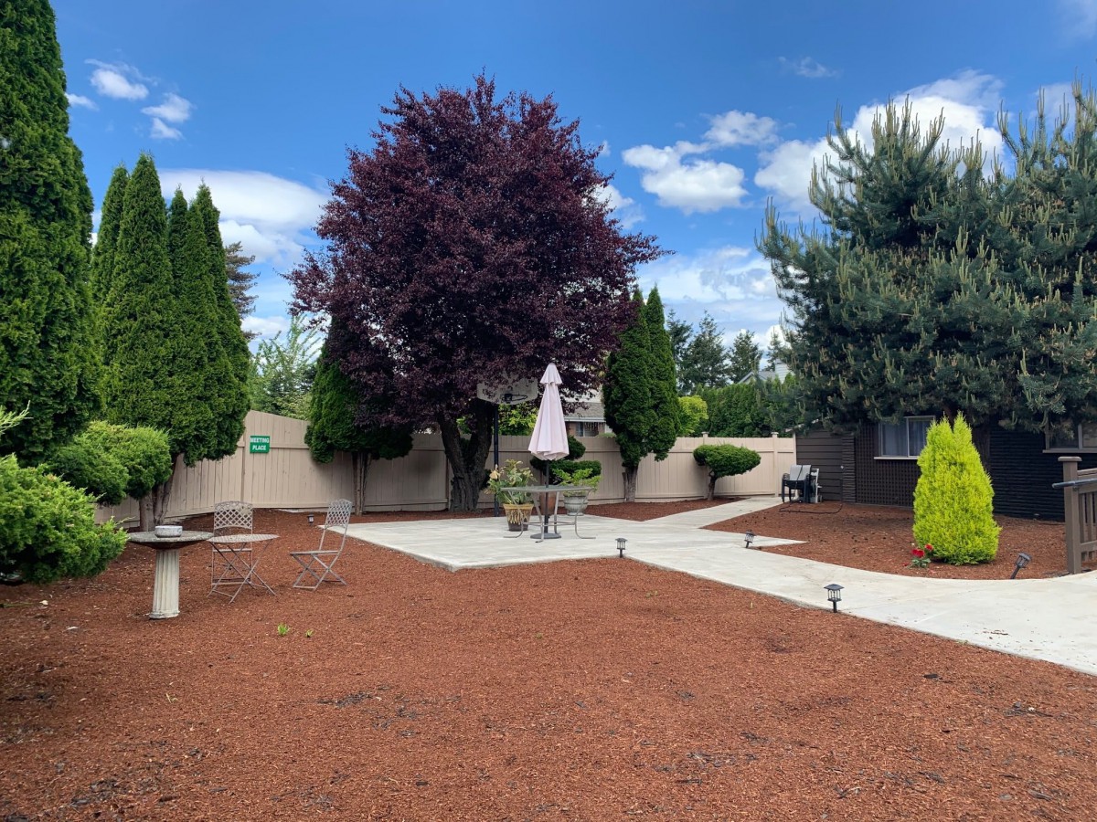 Beautifully landscaped backyard with a patio and vibrant trees.