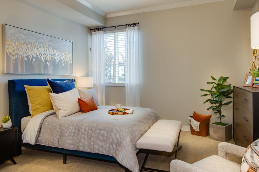 A modern and cozy bedroom with stylish decor, featuring a bed adorned with pillows, soft lighting, and a touch of greenery.