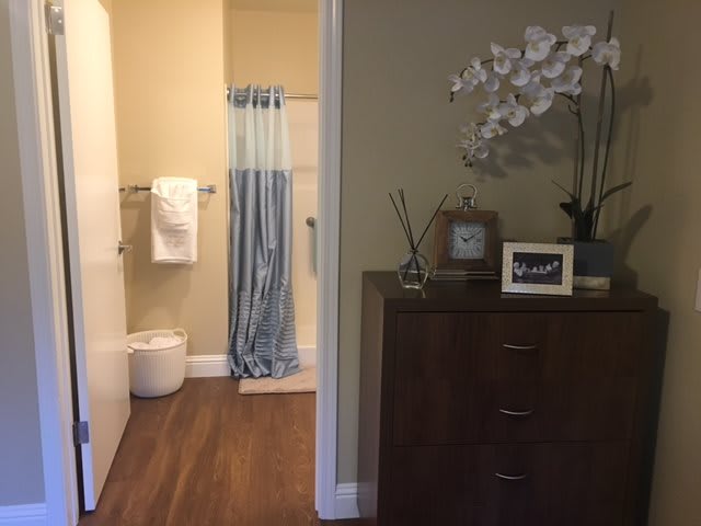 A cozy bathroom setup with a blue shower curtain and wooden cabinetry adorned with plants.