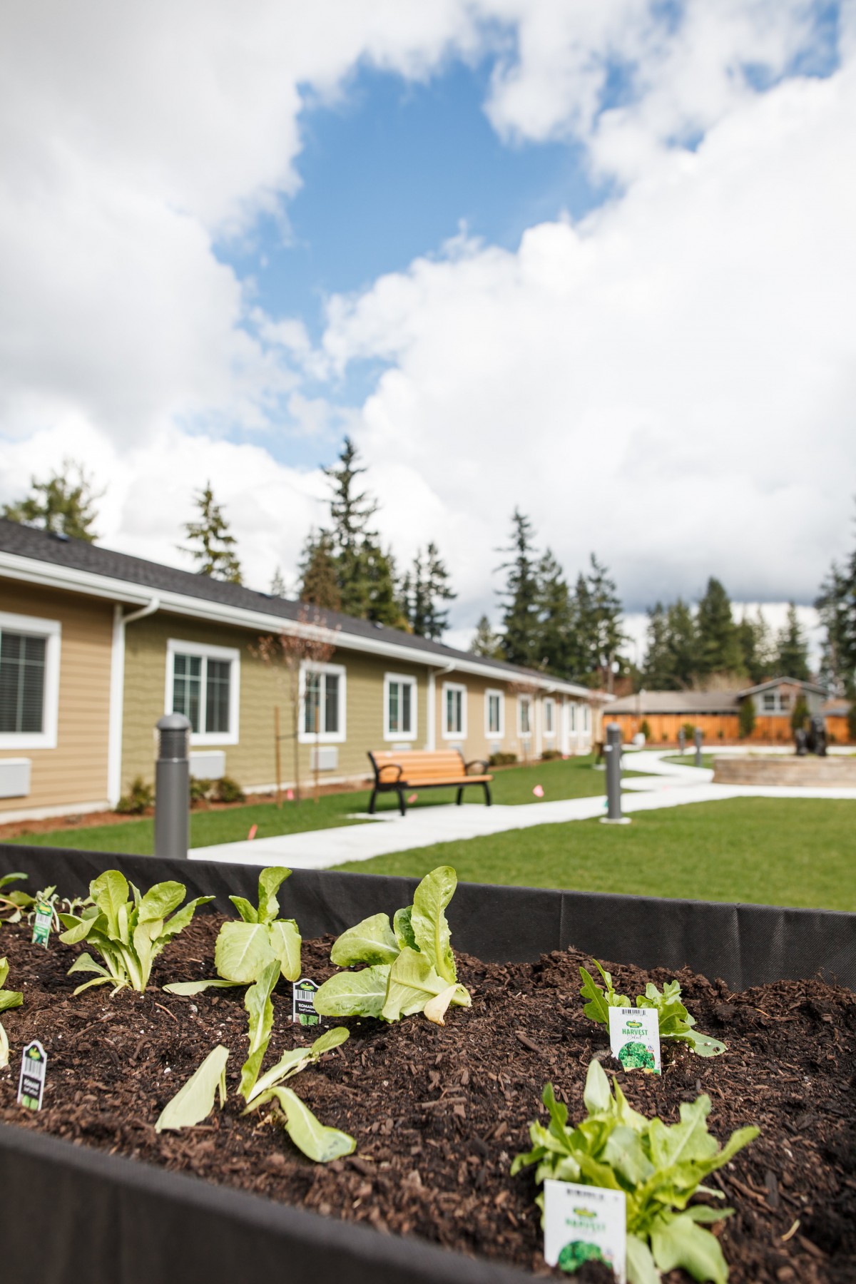 A landscaped community housing area with a garden and outdoor seating.