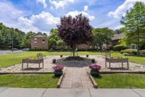 A beautiful garden with a central tree, surrounded by benches and colorful plants.