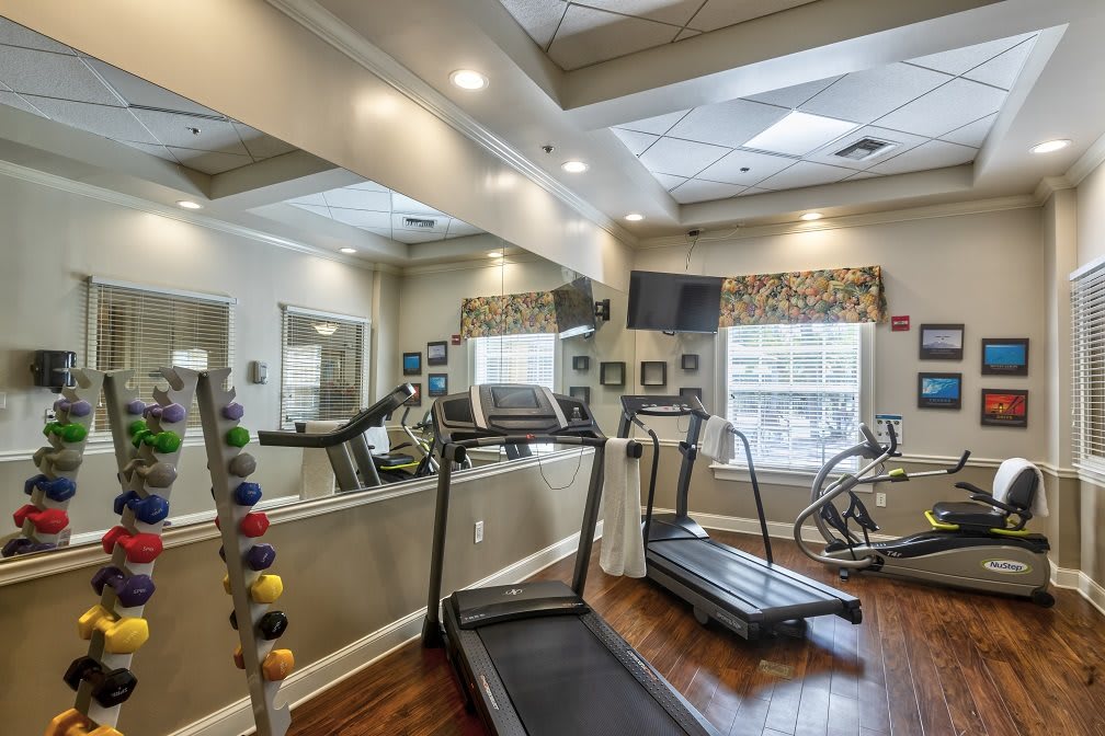 A well-equipped gym with treadmills, exercise bike, and dumbbells.