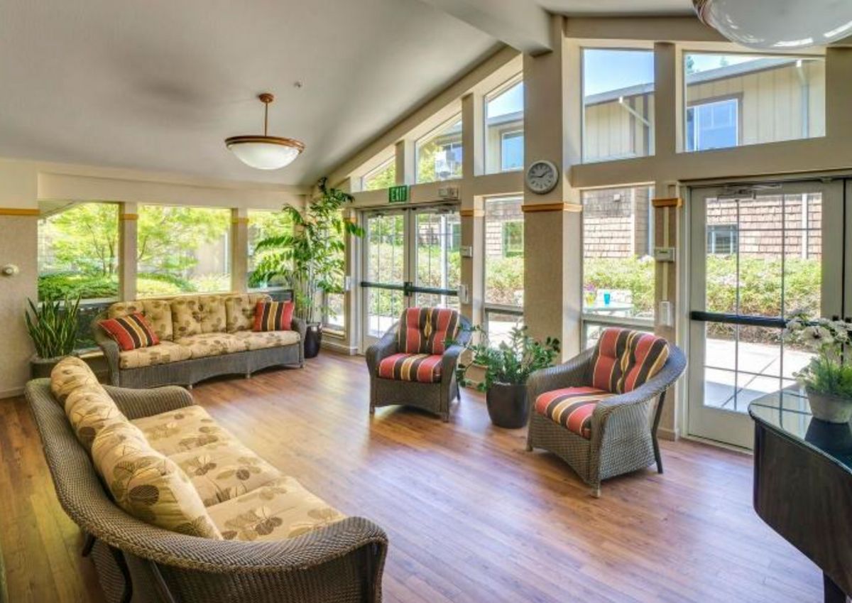 A spacious and well-lit living room with large windows, cozy seating, and indoor plants.