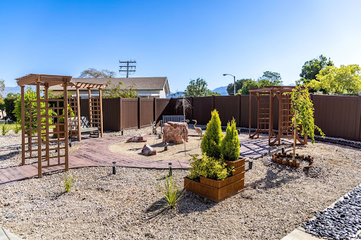 A well-designed outdoor garden space featuring a mix of plants, rocks, and wooden structures.