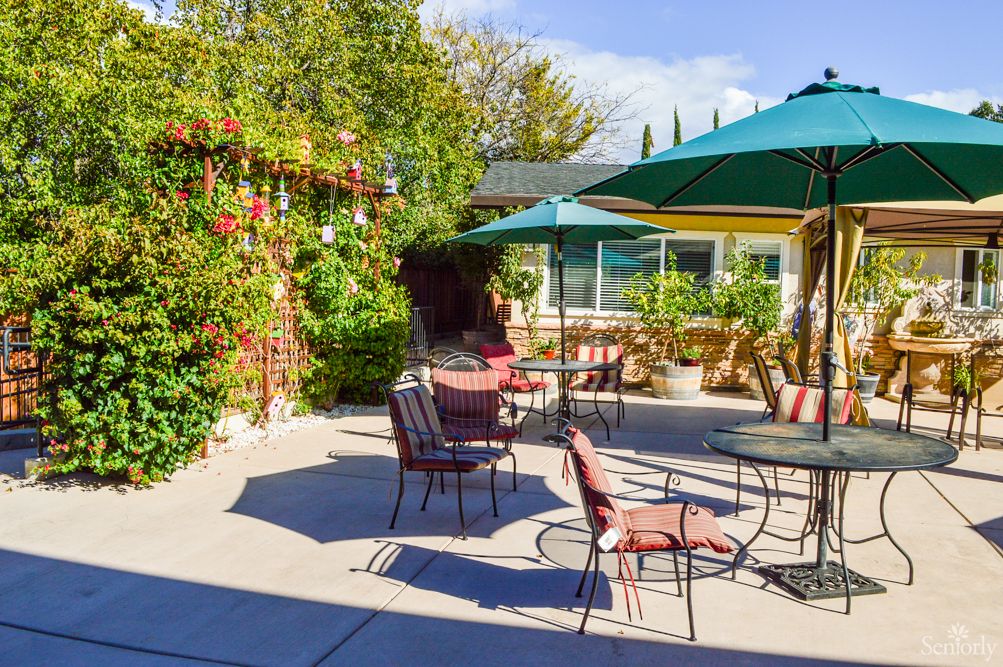 A sunny outdoor patio with tables, chairs, and umbrellas surrounded by greenery.