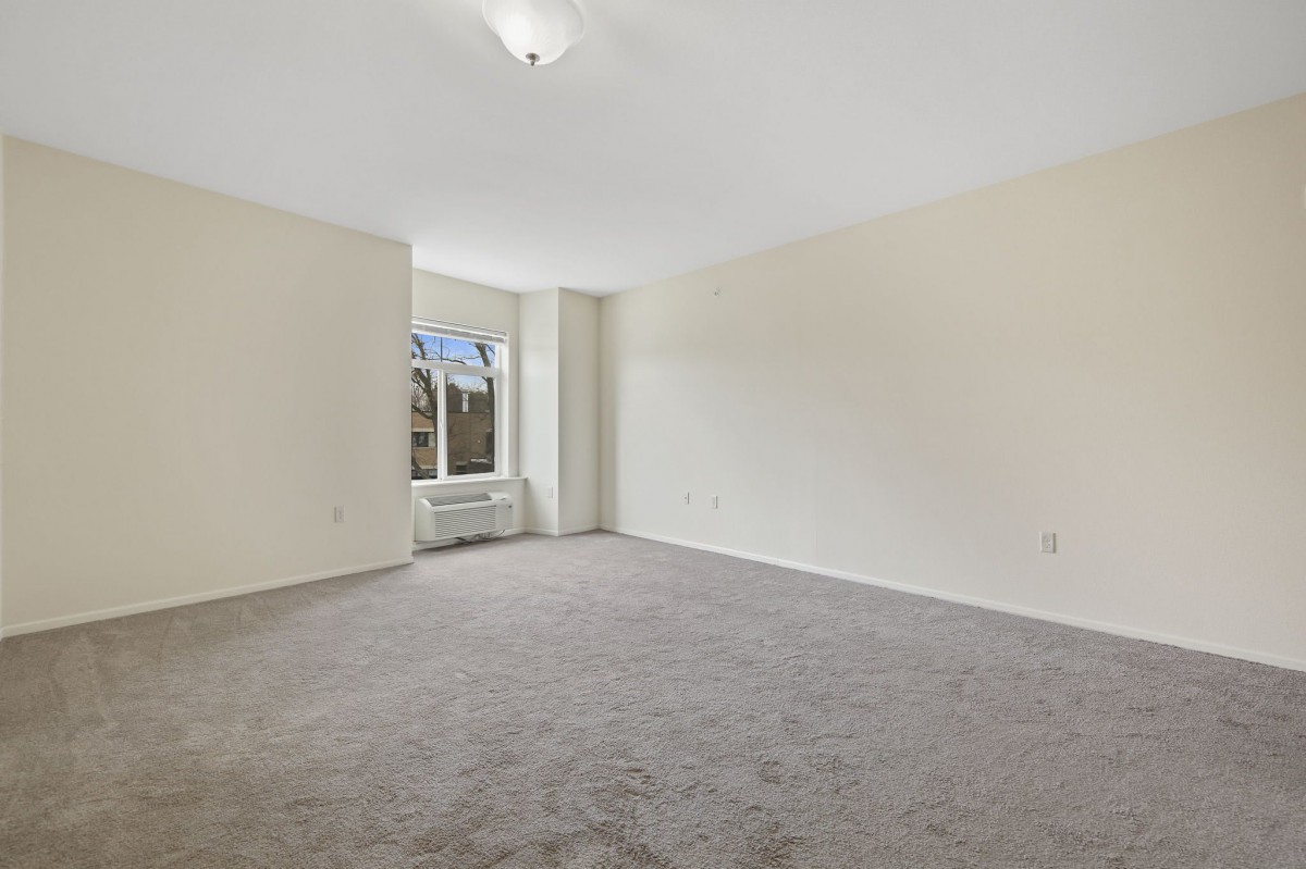 A spacious empty room with a carpeted floor and large window letting in natural light.