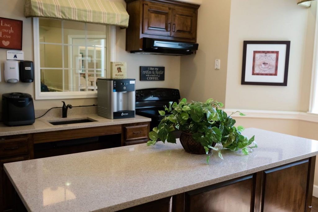 A modern kitchen setup featuring a clean countertop with a sink, appliances, and a decorative plant.