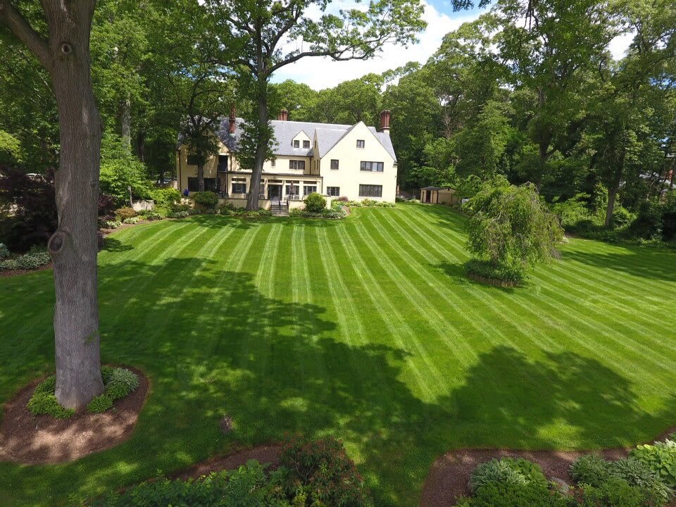A well-maintained lawn with a beautiful house and surrounding trees.
