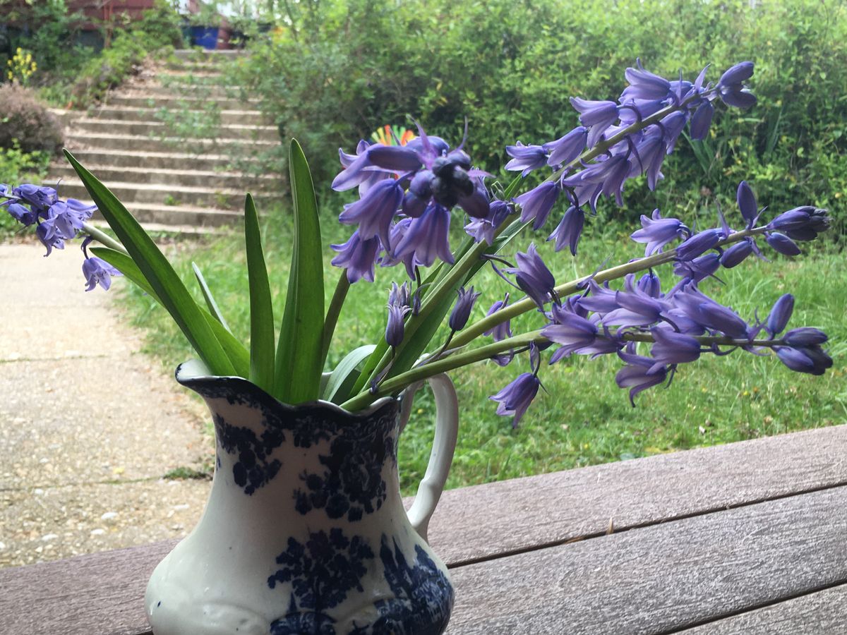 A charming vase filled with vibrant bluebell flowers sits on a porch, overlooking a lush garden.