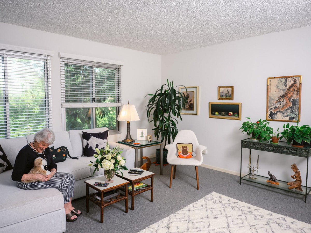 A cozy living room with modern decor, featuring a sofa, indoor plants, and artwork.