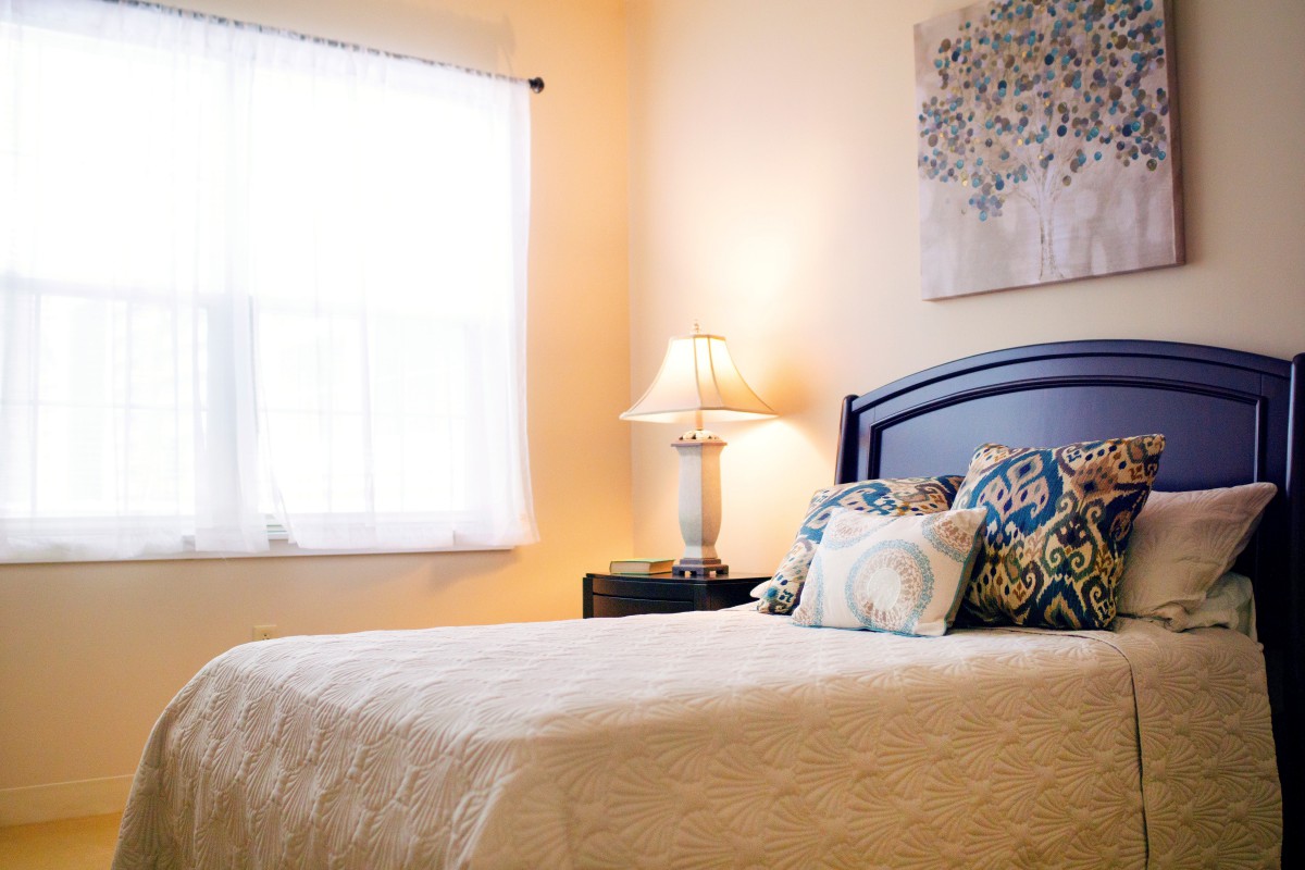 A cozy bedroom with a neatly made bed, stylish cushions, a bedside lamp, and soft natural light coming through the window.