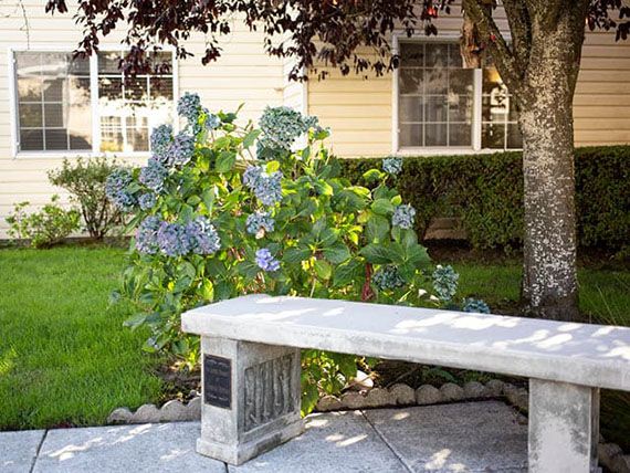 A peaceful garden scene with a stone bench and blooming hydrangeas.