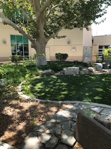 A serene garden area with lush green grass, trees, and decorative rocks.