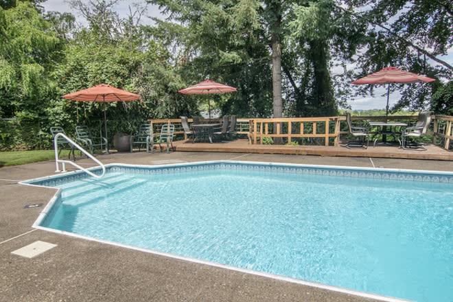 An outdoor swimming pool with surrounding patio furniture and umbrellas, set against a backdrop of trees.