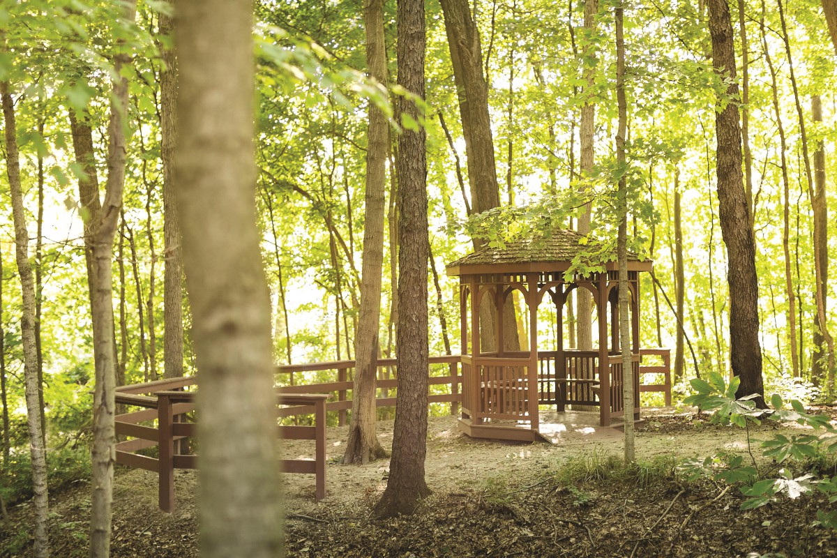 A serene gazebo nestled in a lush forest setting.