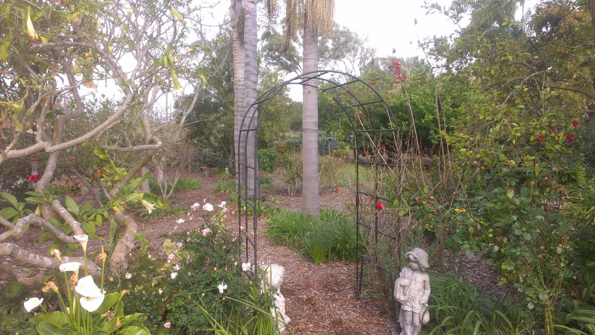 Avocado Gardens