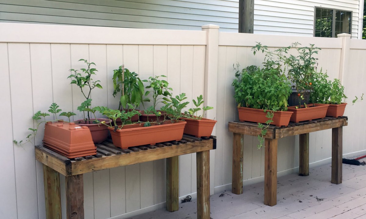 Raised planters with various plants against a white fence on a patio.