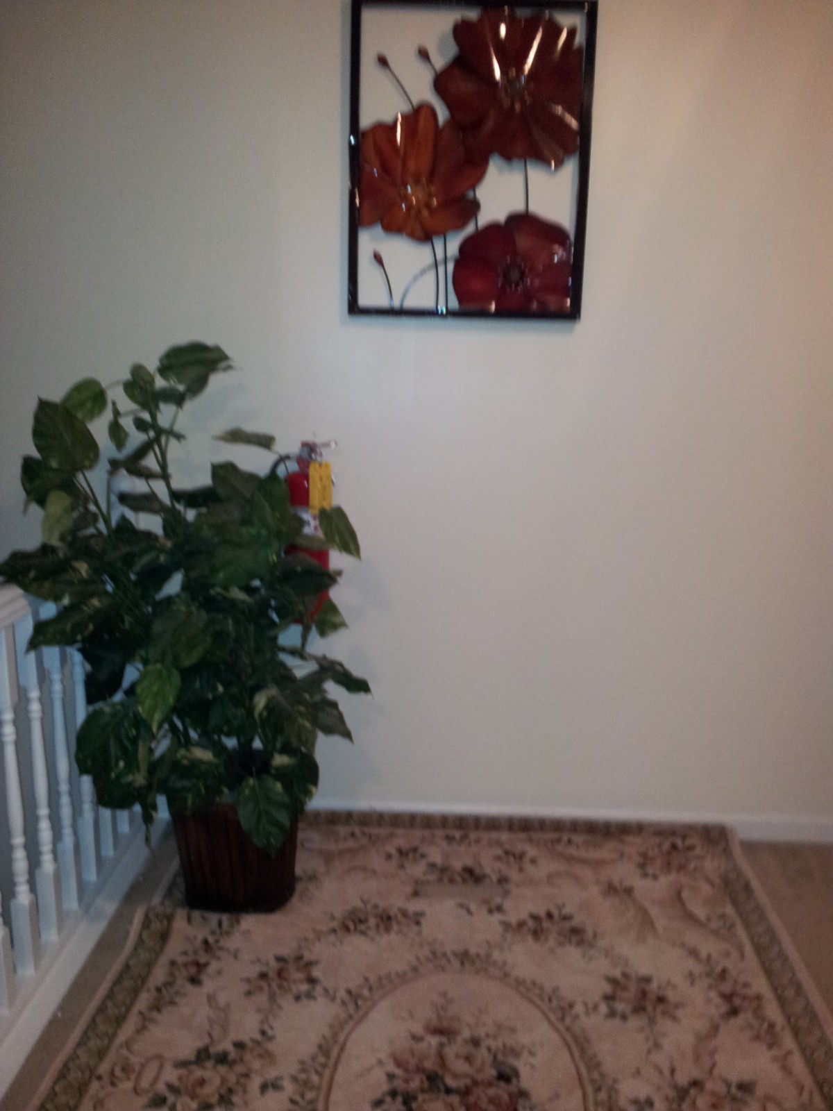 A hallway featuring a potted plant and wall art.