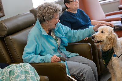 An elderly woman sitting indoors and petting a dog.