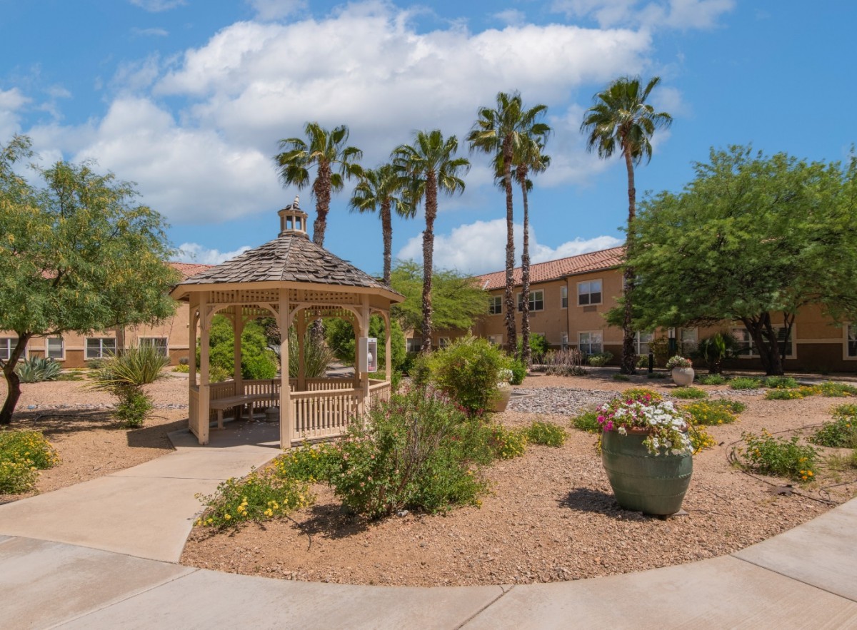 A serene outdoor space featuring a gazebo surrounded by palm trees and desert landscaping under a bright blue sky.