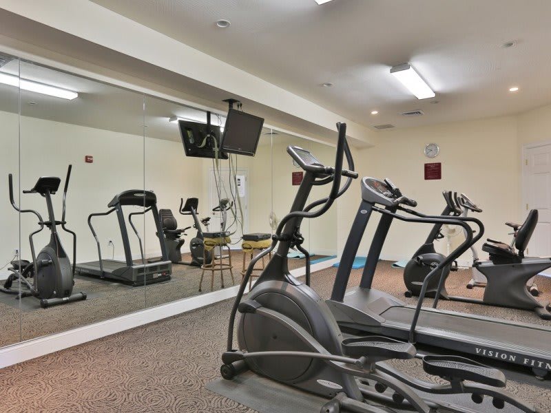 A well-equipped gym featuring treadmills and elliptical machines, complete with a large mirror.