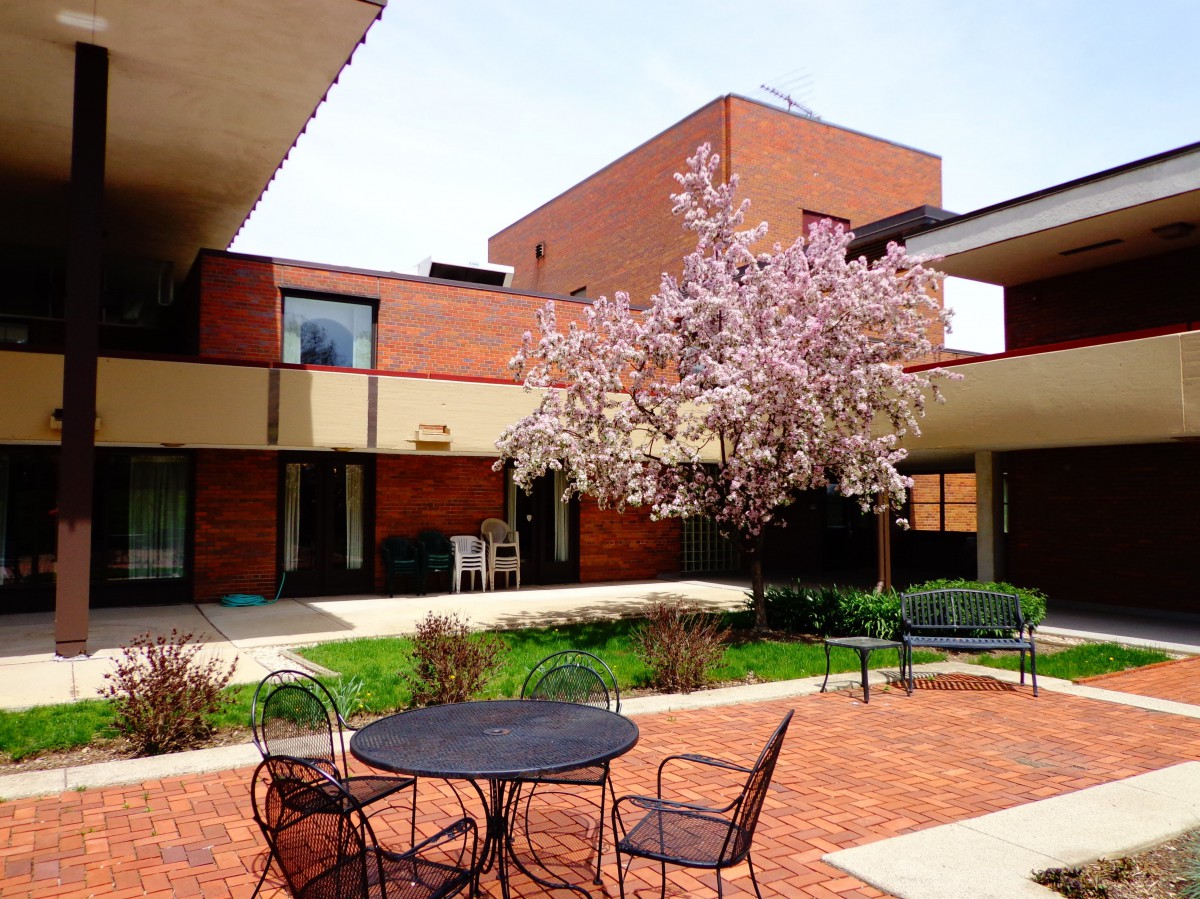 A serene courtyard with a blossoming tree, surrounded by brick buildings and outdoor seating.