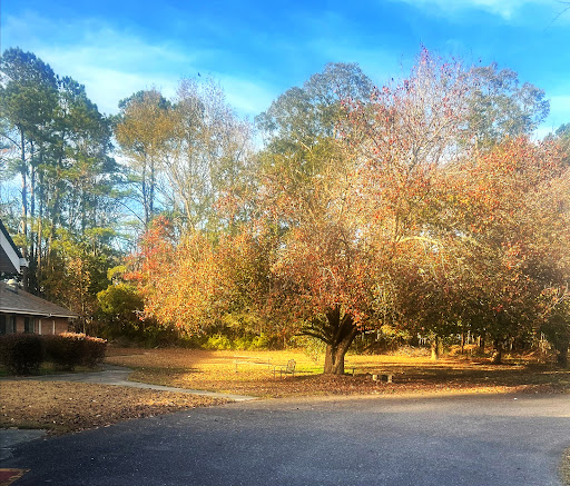 A serene autumn scene featuring colorful trees and a quiet bend in the road.