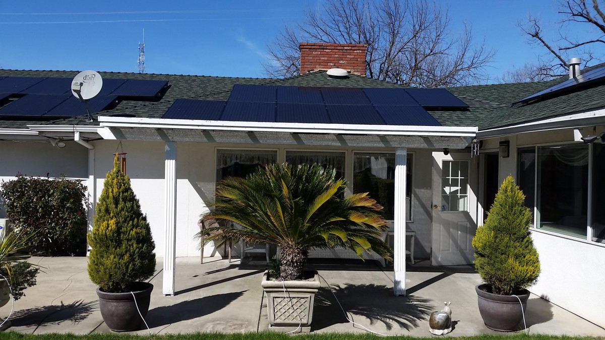 A residential home with solar panels on the roof and a palm plant in front.