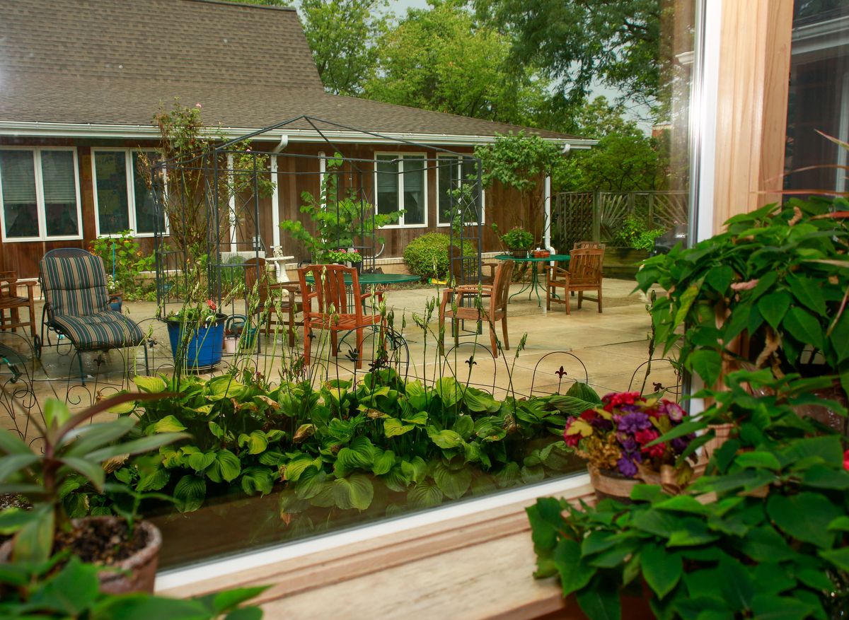 Winter Growth - Marge's Memory Care