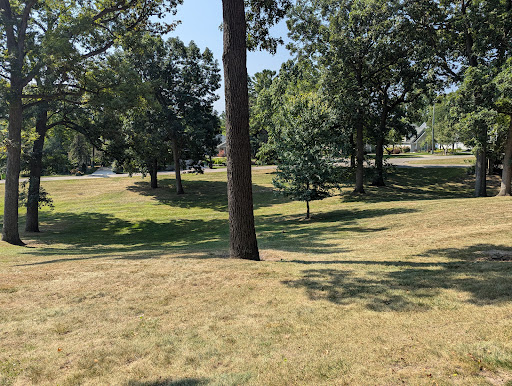 A serene park view showcasing lush trees and grassy hills on a sunny day.