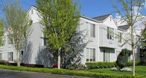 A suburban house with white siding and surrounding greenery.