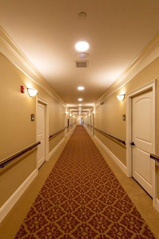 A brightly lit hallway with a patterned carpet and multiple white doors.