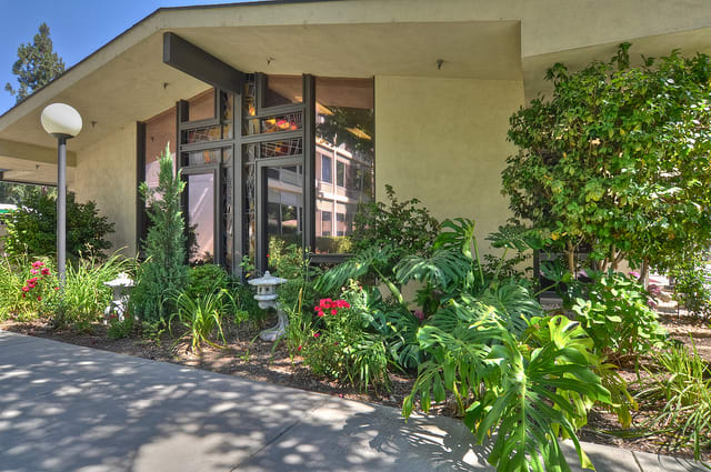 A modern house with a landscaped front yard featuring lush plants and foliage.
