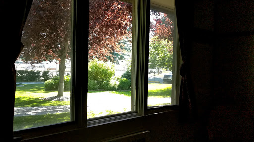 A serene view of a sunny day through a window, showcasing vibrant trees and greenery.
