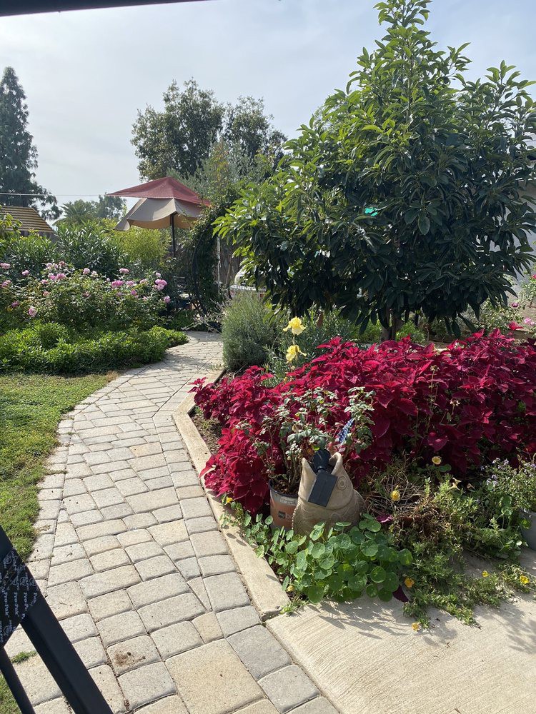 A picturesque garden with a stone pathway surrounded by vibrant flowers and lush greenery.