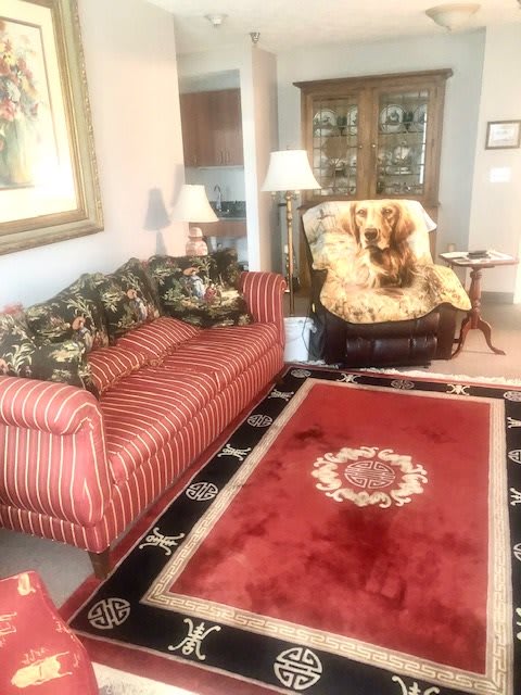 A cozy living room featuring a striped sofa, an armchair with a blanket, and a patterned rug.