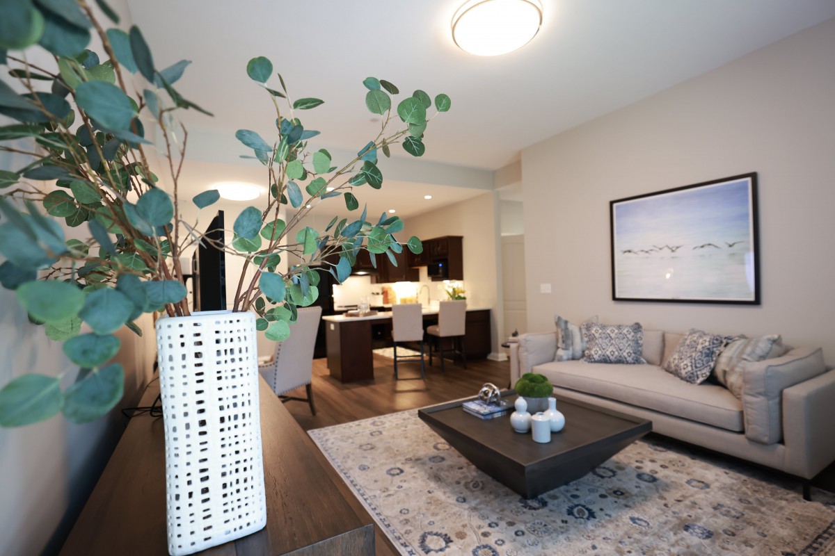 A modern living room with stylish decor, featuring a comfortable sofa and a coffee table adorned with plants.
