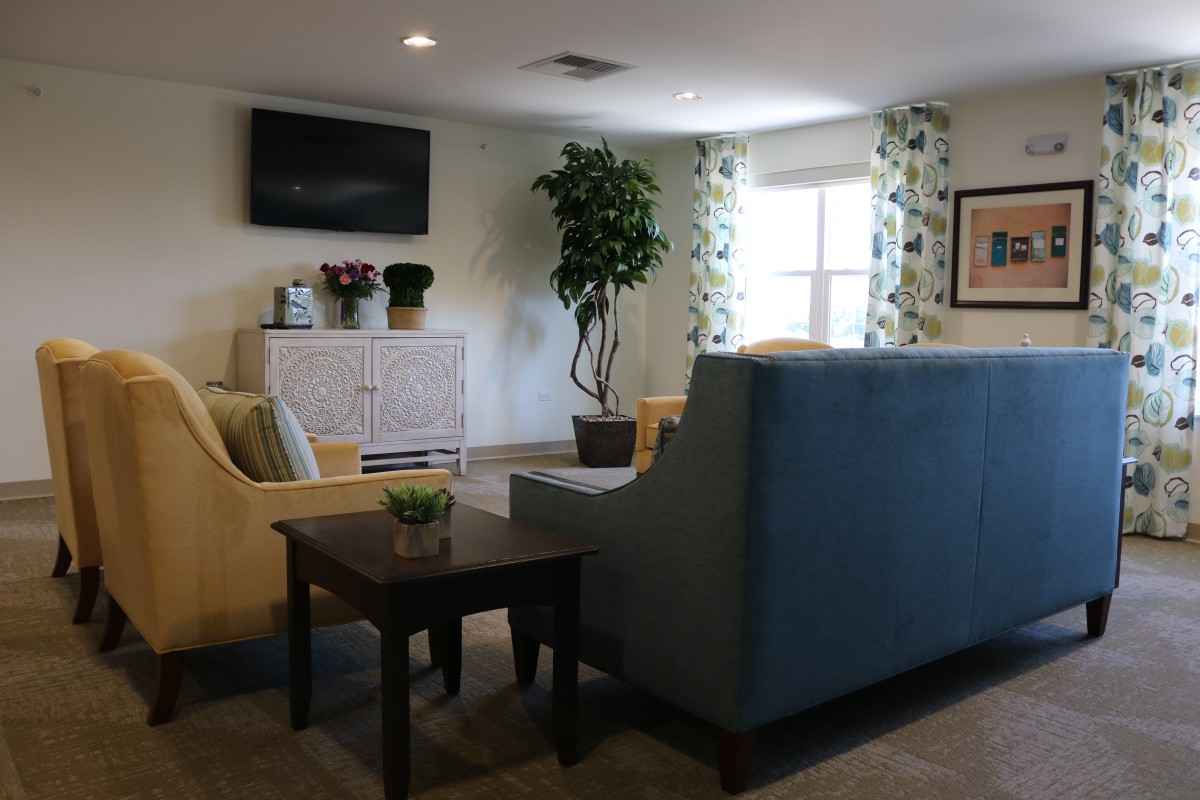 A cozy living room with modern decor, featuring a sofa, a television mounted on the wall, and indoor plants.