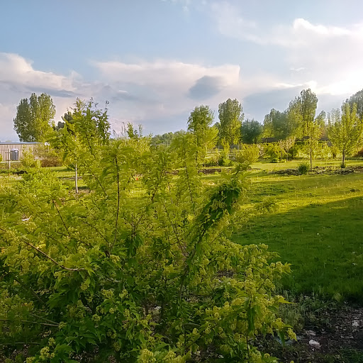 A serene landscape filled with lush greenery and trees under a partly cloudy sky.