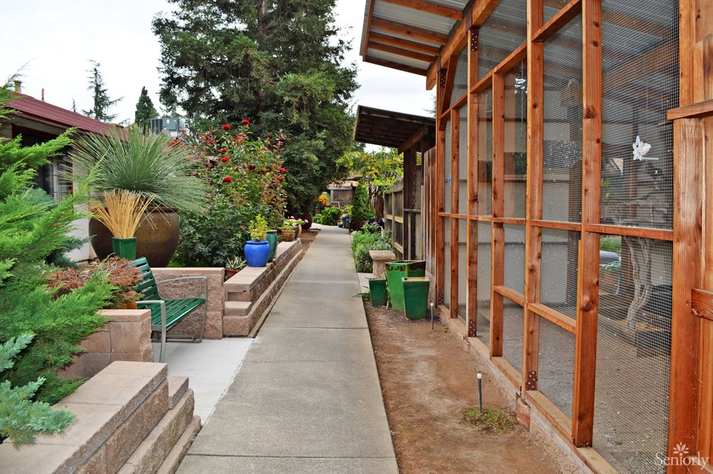 A serene garden pathway lined with potted plants and modern wooden architecture.